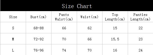 Red Embroidered Lingerie Lace Underwired Push Up Underwear