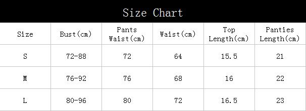 Ladies Embroidered Lace Lingerie Garter Underwear Set