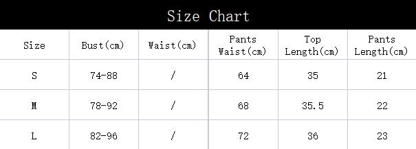 Fashion Lace Sexy Suspender Lingerie Split Underwear Set