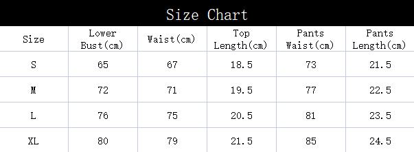 Sexy Lingerie Women Embroidered Mesh Garter Underwear Set