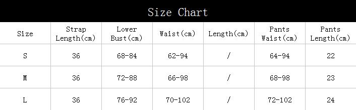 Embroidery Mesh Underwear Sexy Lingerie Three-piece Set