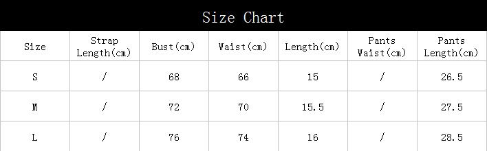 Women's Lace Underwear Sexy Lingerie Two Piece Set