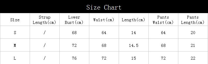 Sexy Embroidered Mesh Underwear Women Garter Lingerie Set