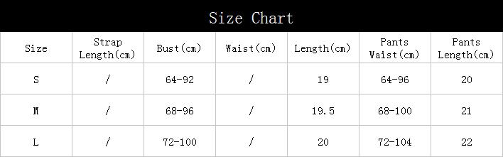 Women's Embroidered Mesh Underwear Sexy Lingerie Set