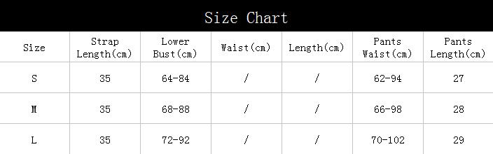 Women Lace Embroidered Flower Sexy Bra Lingerie Set