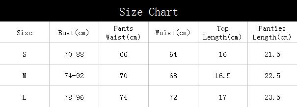 Women's Embroidered Mesh Underwear Sexy Lingerie Set