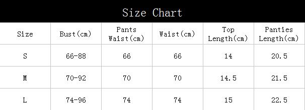 Women's Embroidered Underwire Lingerie Sexy Lace Underwear