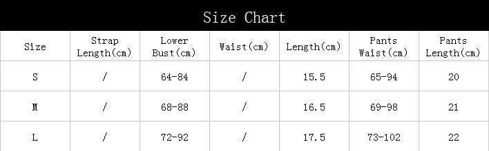 Two-color Lace Mesh Underwear Sexy Stitching Lingerie Set