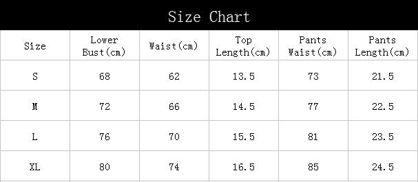 Women's Sexy Embroidered Mesh Garter Lingerie Set