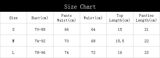 Women's Classic Embroidered Underwear Sexy Mesh Lingerie Set