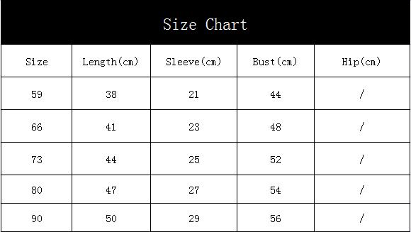 Baby Dinosaur Long Sleeve Romper