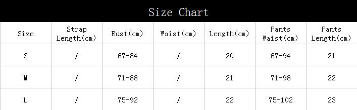 Women's Sexy Thin Lingerie Mesh Lace Underwear Set