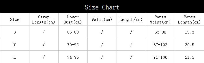 Women Flower Embroidered Sexy Lingerie Three Piece Set