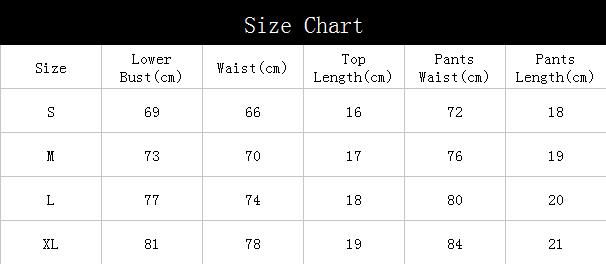 Women's Sexy Lingerie Embroidered Mesh Underwear Set