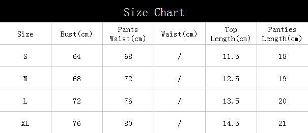 Summer Sexy Lingerie Embroidered Mesh Underwear Set